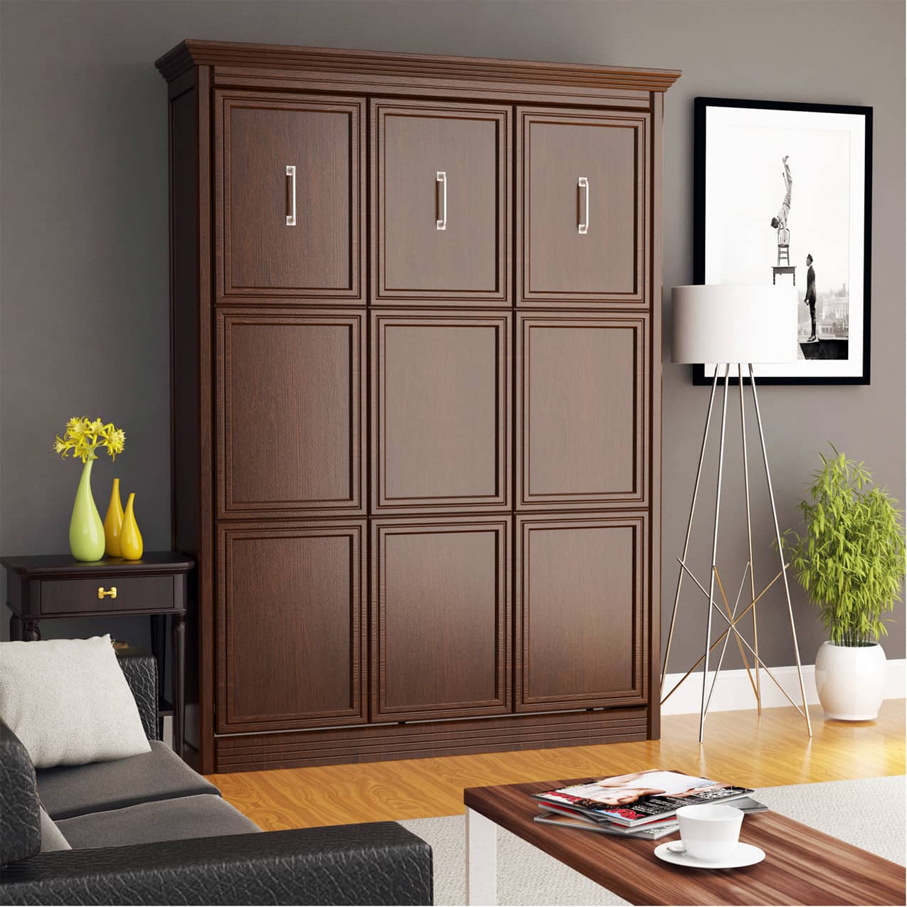 Chamberlin queen portrait murphy bed cabinet closed hidden hideaway hide away hide-a-way diy murphy bed kit fold out pull down wall bed cabinet guest bed